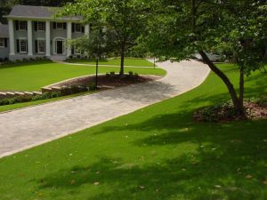 Why Sodding Is a Smart Investment